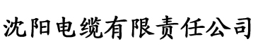 漫画渗透测试电缆厂logo